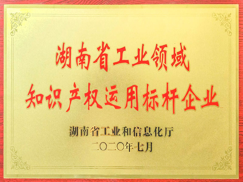 湖南省工业领域知识产权运用标杆企业